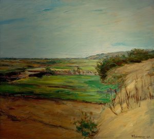 Dünenlandschaft