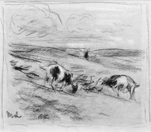 Grasende Ziegen in den Dünen