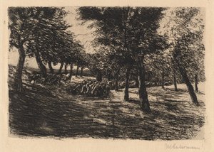 Schafherde unter Bäumen, 1891
