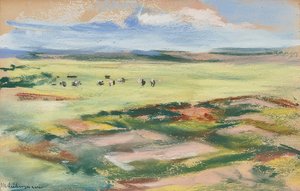 Hinter den Dünen