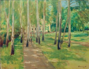 Wannseegarten mit Birkenallee