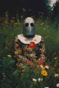 Ritter in Blüte von Max Sandström