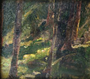 Landschaft