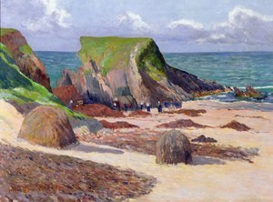 Seetangernte, 1891