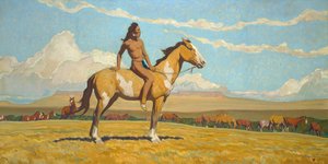 Der Ponyjunge