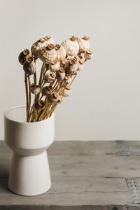 Vase mit natürlichen Mohnkapseln von Mayra Pama