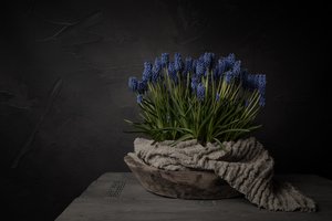 Rustikale blaue Blumen von Mayra Pama