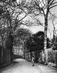 Herbstzeit in Holland Walk, London, 1926-1927