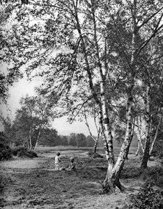 Putney Heath, London, 1926-1927 von McLeish