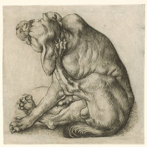 Kratzender Hund von Meester van het Amsterdamse Kabinet