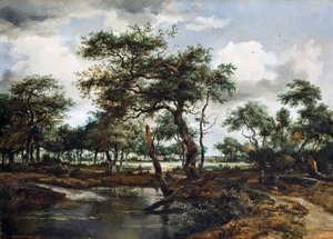 Ein Teich im Wald, 1668