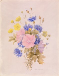 Feldblumen