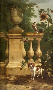 Tauben und ein Hund im Garten, ca. 1660-1690
