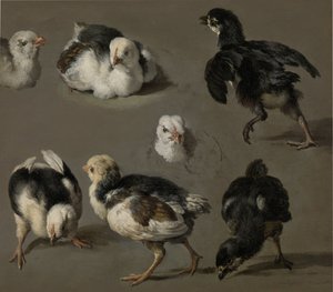 Sieben Küken von Melchior d
