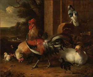 Ein Geflügelhof, um 1660-1665