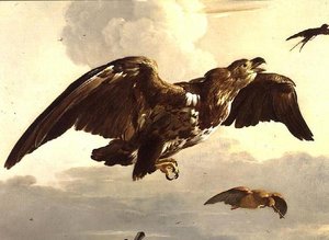 Ein Adler und eine Schwalbe im Flug von Melchior de Hondecoeter