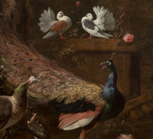 Detail aus Menagerie, ca. 1680