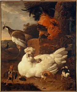Glucke mit Küken von Melchior de Hondecoeter
