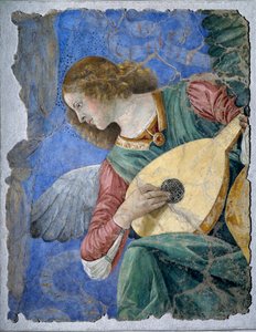 Musikalischer Engel (Ein Engel spielt die Laute) von Melozzo da Forli