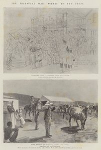 Der Transvaal-Krieg, Szenen an der Front