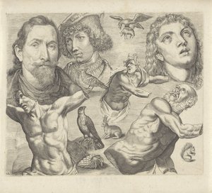 Studienblatt mit Zeichenbeispielen: Köpfe, Torso und Tiere von Michael Snijders
