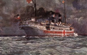 Deutsches Hospitalschiff, Erster Weltkrieg von Michael Zeno Diemer