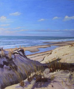 Die Dünen der Atlantikküste