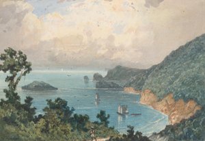 Nordküste von Trinidad, vom Nordposten von Michel Jean Cazabon
