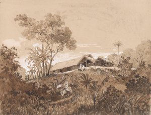 Das Häuschen, Mount Tamana von Michel Jean Cazabon
