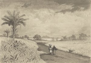 Der Weg zum Pitch Lake