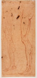 Beinstudie von Michelangelo (after) Buonarroti