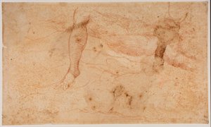 Studien von Aktfiguren