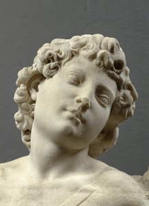 Kopf des 