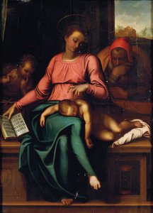 Madonna del Silenzio von Michelangelo Buonarroti