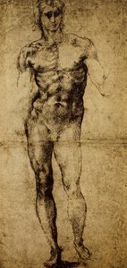 Studie für einen männlichen Akt, Michelangelo Buonarroti (1475-1564), Zeichnung, Paris, Louvre Museum
