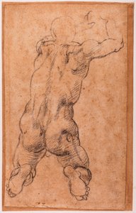 Studie eines knienden männlichen Aktes von Michelangelo Buonarroti