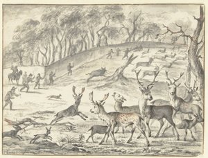 Treibjagd auf Hirsche
