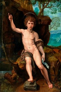 Darstellung des heiligen Johannes des Täufers von Michiel I Coxie or Coxcie