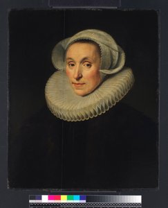 Porträt einer Dame von Michiel Jansz. van Miereveld