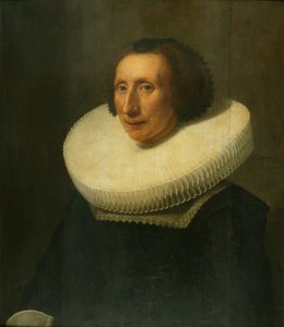 Porträt einer Dame, 58 Jahre alt von Michiel Jansz. van Miereveld