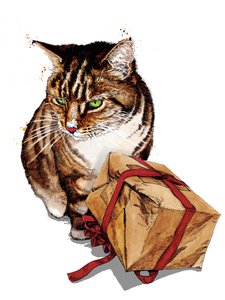 Geburtstags-Katze auf Weiß, 2020