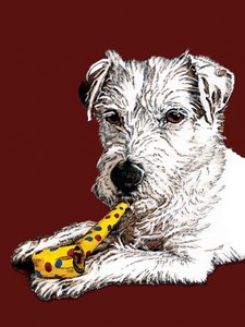 Geburtstag Parson Hund auf Rotoxid, 2020