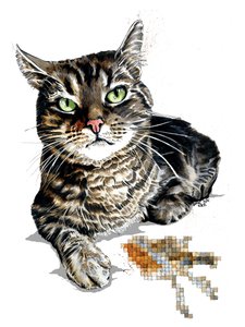 Geschenkkatze auf Weiß, 2020