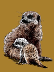 Neues Baby Erdmännchen auf Goldgelb, 2020 von Mike Davis
