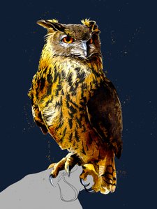Der Uhu auf Mitternachtsblau, 2020
