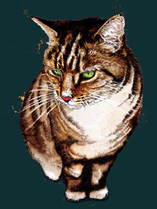Die Tigerkatze auf Tiefcyan, 2020