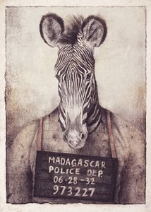 Zebra-Fahndungsfoto-Mysterium von Mike Koubou