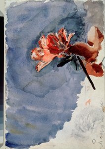 Die rote Azalee