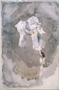 Weiße Iris von Mikhail Aleksandrovich Vrubel