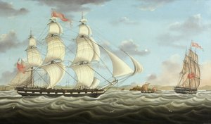 Schiff 
